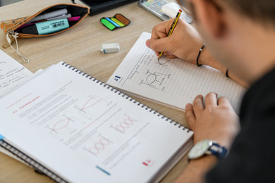 Individual Online Course