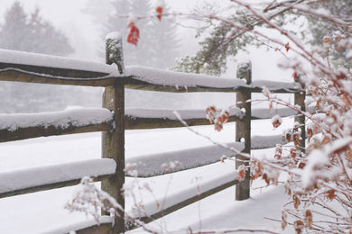 3-day IN-PERSON Winter Course: December 20-22